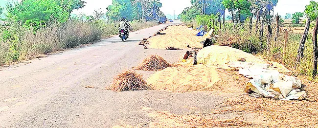 రోడ్డంతా కల్లాలే..