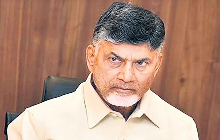 CM Chandrababu in video conference with collectors and officials