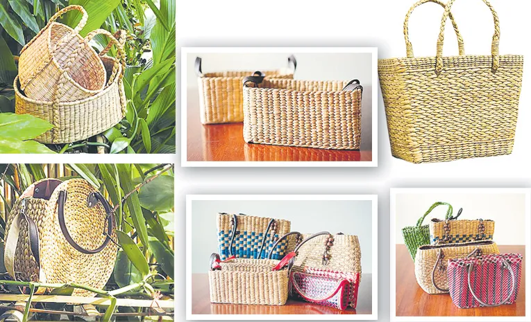 The Benefits of Water Hyacinth