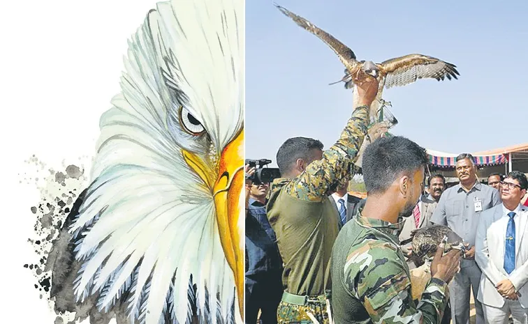 Telangana Police To Introduce Eagle Squad