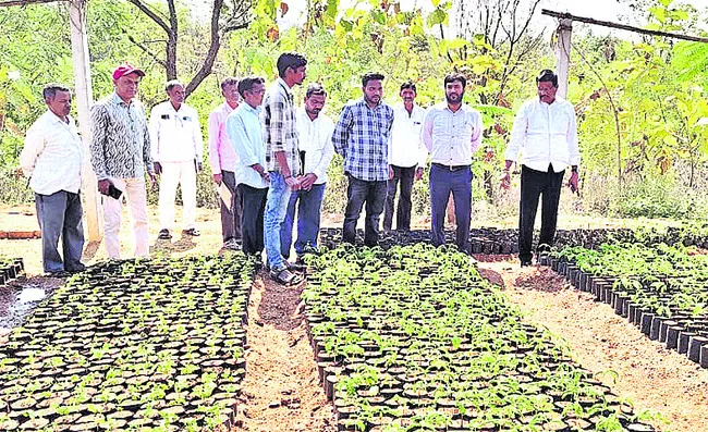 ఈ ఏడాది మొక్కల లక్ష్యం 37లక్షలు