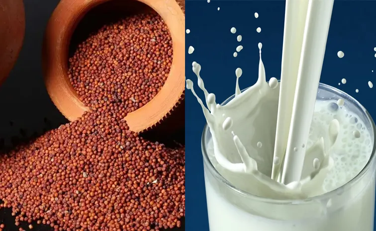 For higher calcium Finger millet (ragi) or Milk  which is better check  here