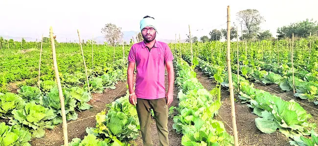 ఉద్యోగం కన్నా వ్యవసాయం మిన్న..