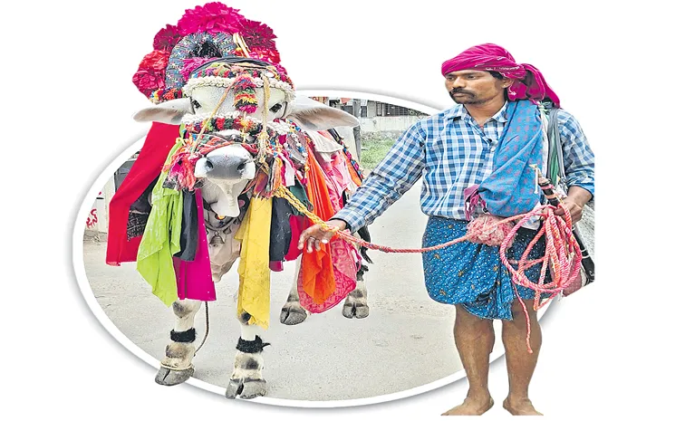 Gangireddu or basavanna performing a Makar Sankranti celebrations