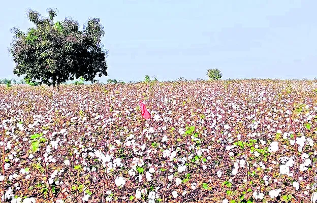 గుబులు రేపుతున్న  ఎర్రజెండాలు
