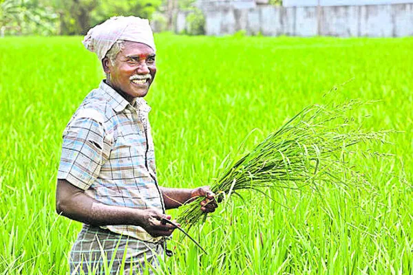 పంటలు చేతికొస్తే పండుగే..