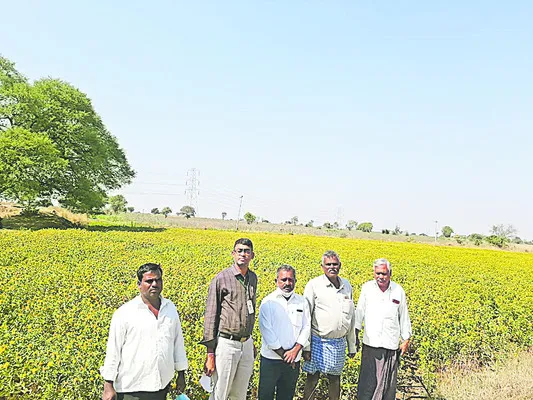 ఆరోగ్