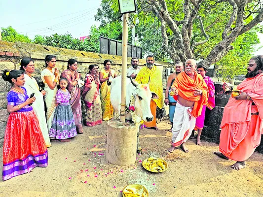 వైభవంగా కనుమ వేడుకలు