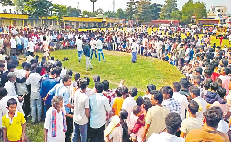 Huge Cock Fighting Betting Happen In Chandrababu Govt TDP Leaders