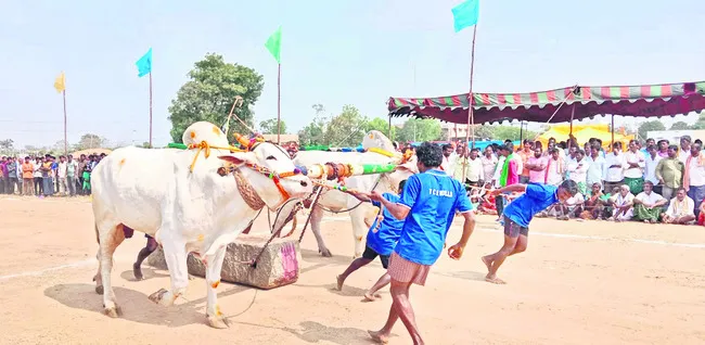 ఉత్సాహంగా బండలాగుడు పోటీలు