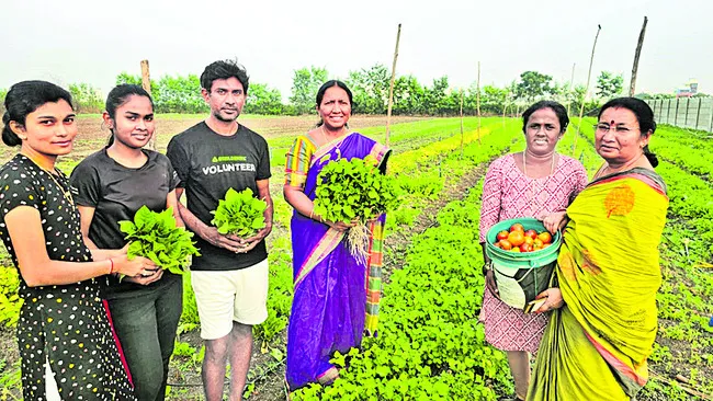 ఏటీఎం మోడల్‌తో నిరంతర ఆదాయం 