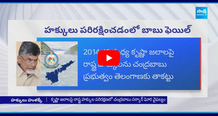 Chandrababu Govt Fails In Protecting The State Rights Over Krishna Water