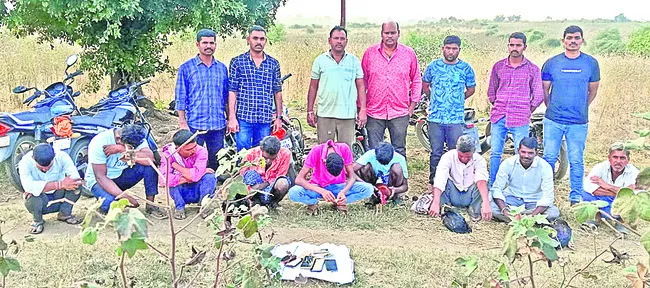 జోరుగా కోడి పందేలు