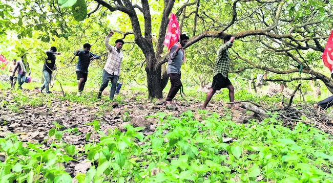 మద్దతు ధర కోసం జీడి రైతుల పాదయాత్ర 