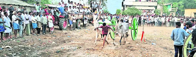 ఆకట్టుకున్న ఎడ్ల పరుగు ప్రదర్శన