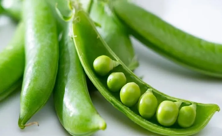 Healthy and Different Types of Green Peas Recipes