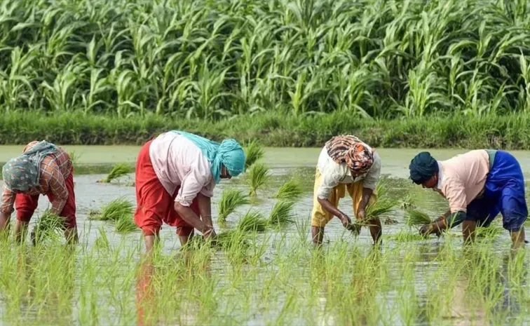 traditional farming practices are under pressure the govt can prioritize climate resilient farming decisions upcoming budget