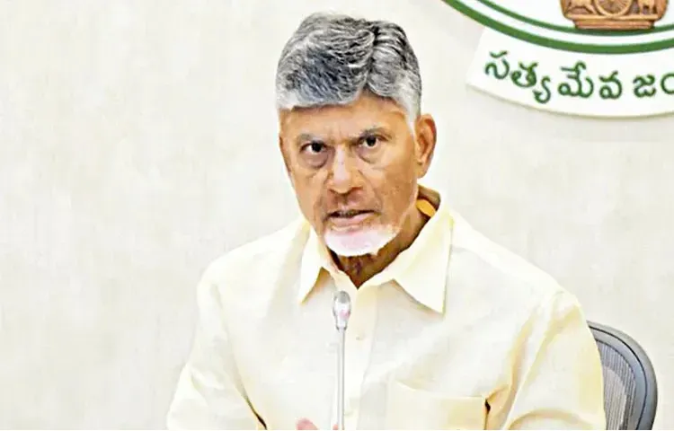 CM Chandrababu Naidu directions to ministers and MPs