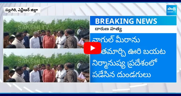 TDP Leaders Attack On YSRCP Activist In NTR District