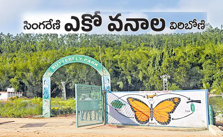 Singareni Collieries Company develops Eco Adventure Park in kothagudem