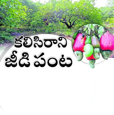 జాతర 