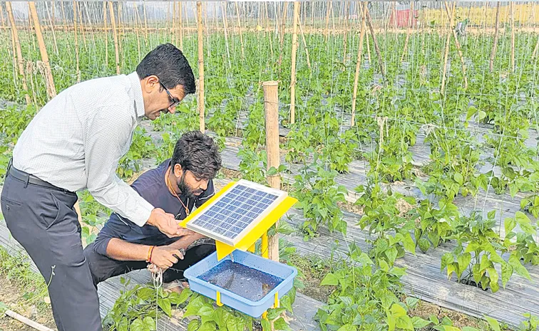 Agritech sector to create 60-80K new jobs in next 5 years