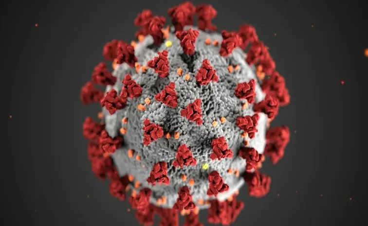 Norovirus spike in US Health officials issue warning