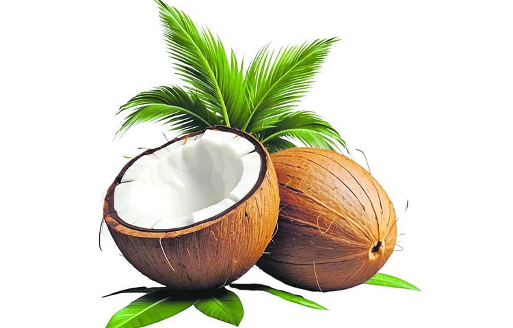 Coconut prices are gradually increasing