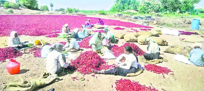 మిర్చ