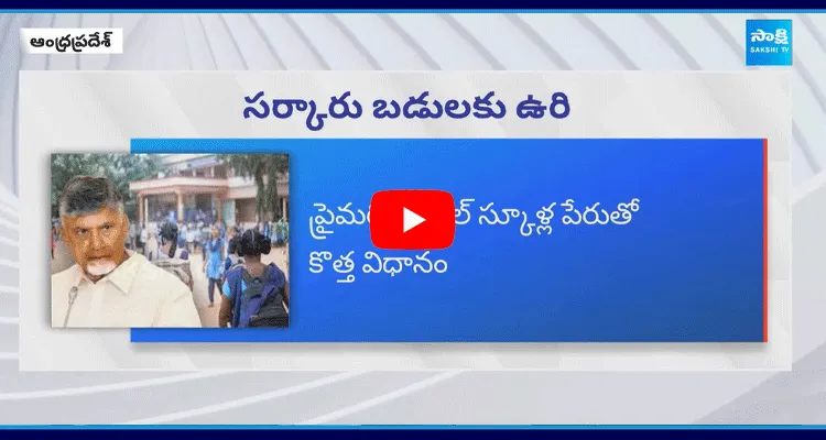 New Policy Of Primary Model Schools In AP