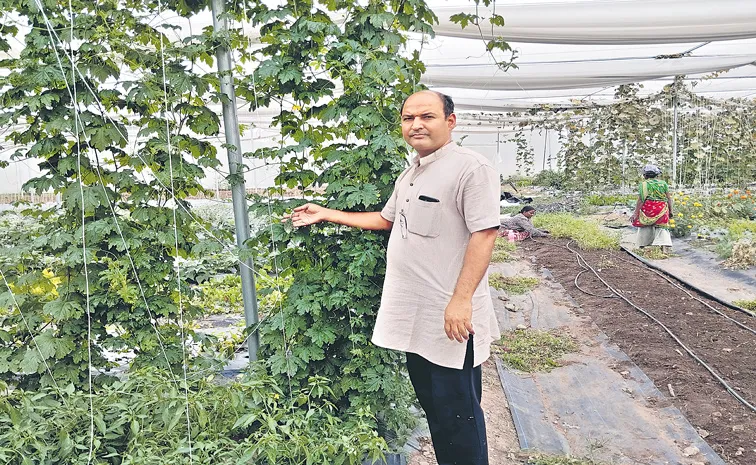 Singapore Software Company employe starts Natural Farming in india