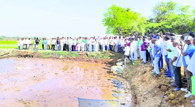 వరిసాగులో దేశంలోనే ప్రథమ స్థానం 