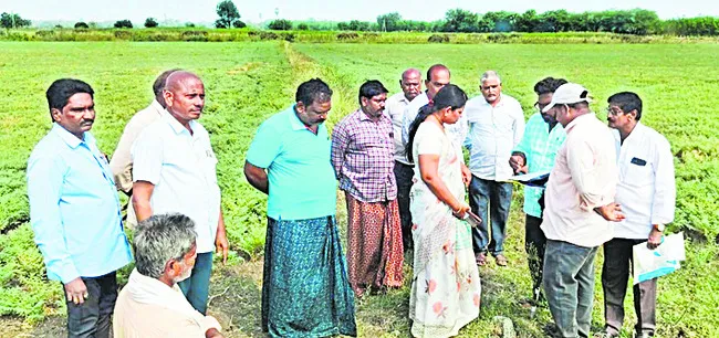 భూముల రీ సర్వే ప్రారంభం