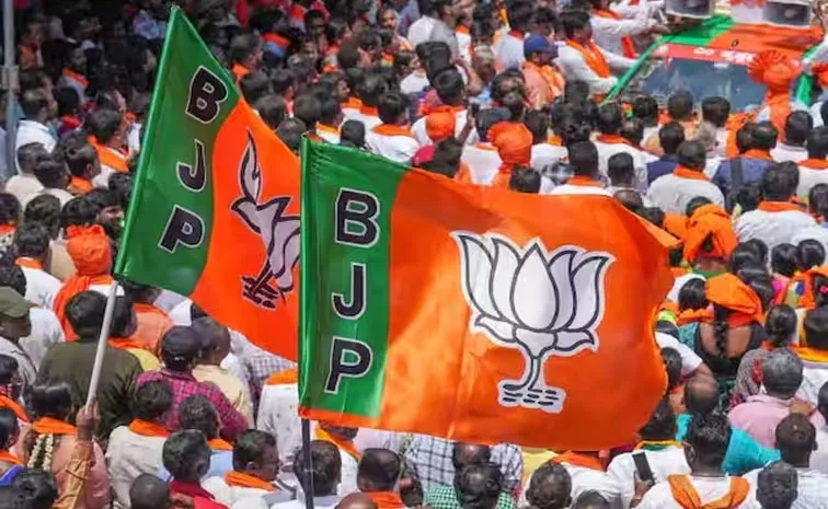 Delhi BJP promises Financial Aid For Voters In Elections