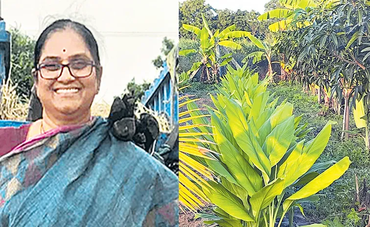 Nadimpalli Kavitha Turmeric crop starts 11 varieties