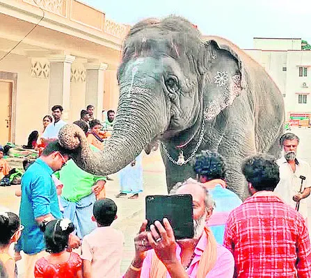 రెండు నెలల తర్వాత భక్తులకు దైవానై ఆశీస్సులు 