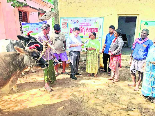 పశు ఉత్పాదకత పెంపే లక్ష్యం