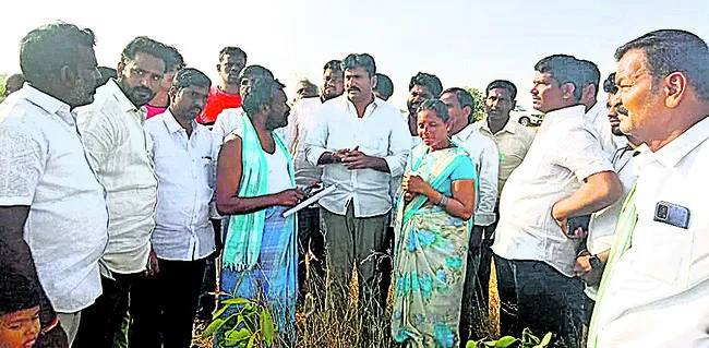 అల్లనేరేడు చెట్ల నరికివేత 