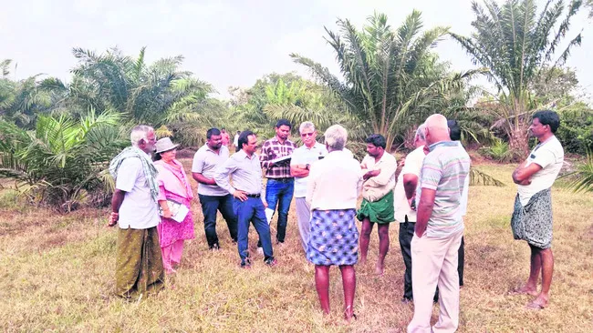 ఆద్యులెవరు.. బాధ్యులెవరు?