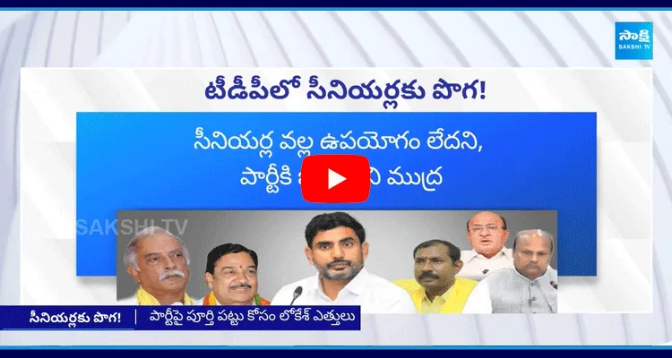 Nara Lokesh Plans To Replace Senior Leaders With His Batch