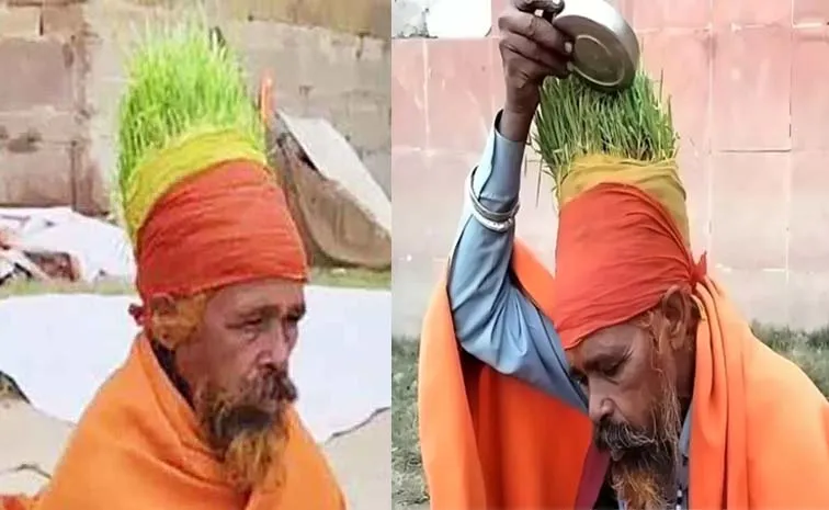 Mahakumbh Mela 2025: Anaaj Wale Baba Growing Crops On His Head