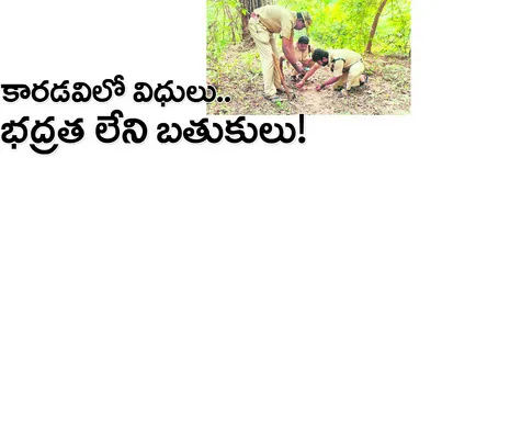 కారడవ