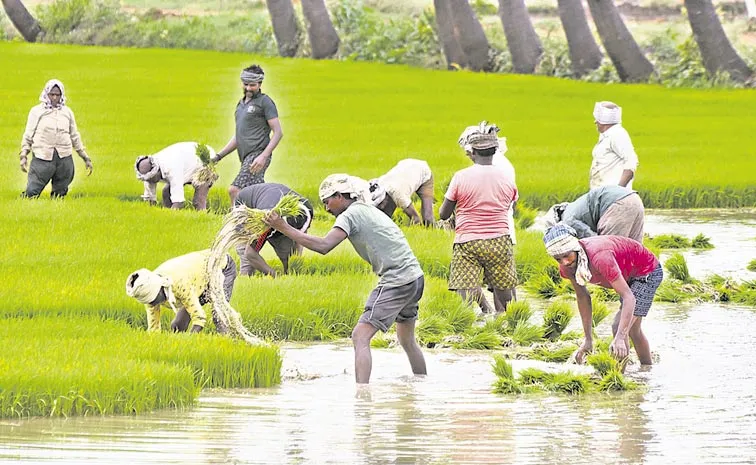 Growing farming families in villages: Andhra pradesh