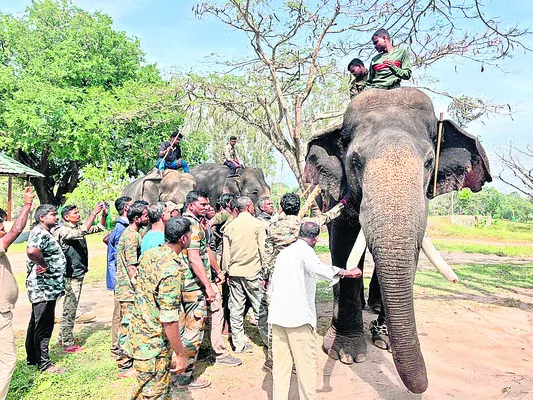 కుంకీ