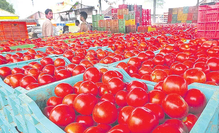 Tomato prices drop in hyderabad farmers worried