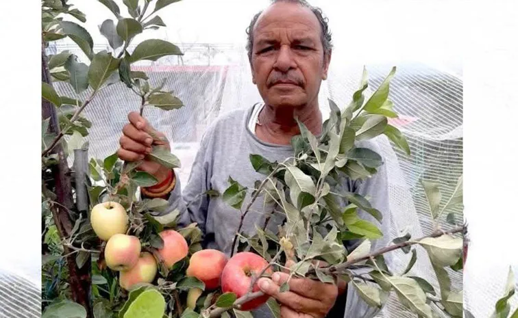 Padma Shri Awards 2025: Know Seb samrat Hariman Sharma who Grew Apples in Hot Fields