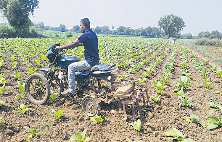 Old bikes and bicycles with new agricultural equipment