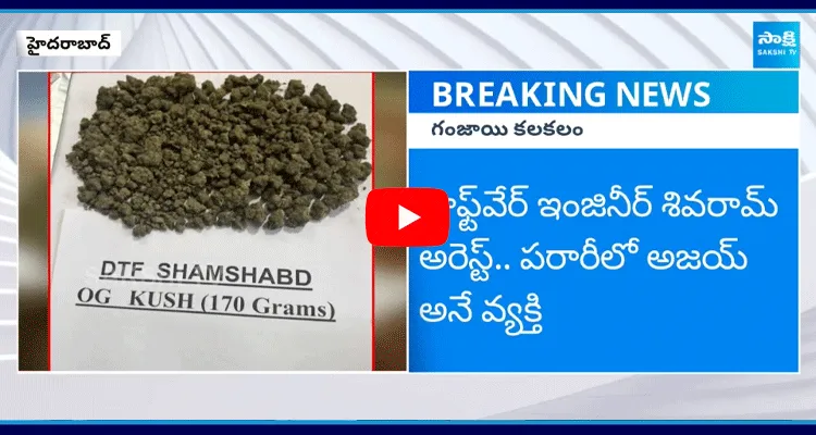 Foreign Ganja Racket In Gachibowli 