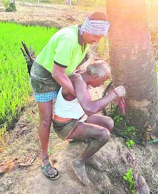 గీతకార్మికుడికి తీవ్రగాయాలు