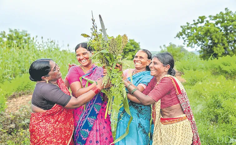 Sakshi Guest Column On farmers food security agriculture sector